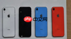 在iPhone xr中可以同时插入两张电信卡吗？iPhone xr介绍