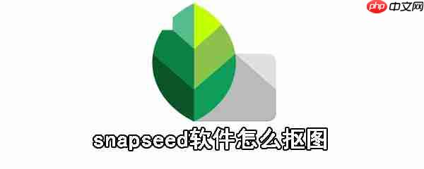 snapseed软件如何抠图_snapseed抠图步骤一览
