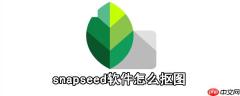 snapseed软件如何抠图_snapseed抠图步骤一览