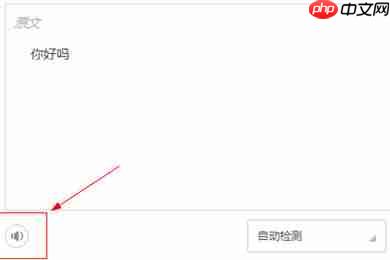 金山词霸怎么设置播放读音？金山词霸设置播放读音方法一览