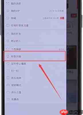 在网易云音乐里怎么找到听歌识曲功能？听歌识曲功能查找方法介绍