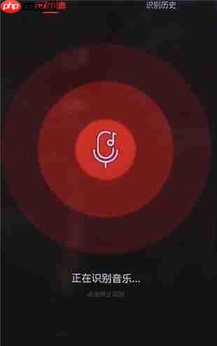 在网易云音乐里怎么找到听歌识曲功能？听歌识曲功能查找方法介绍