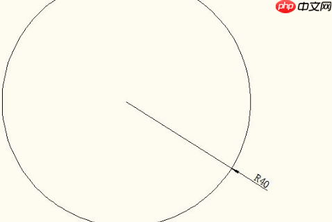 AutoCAD 2010怎么标注圆的半径与直径?