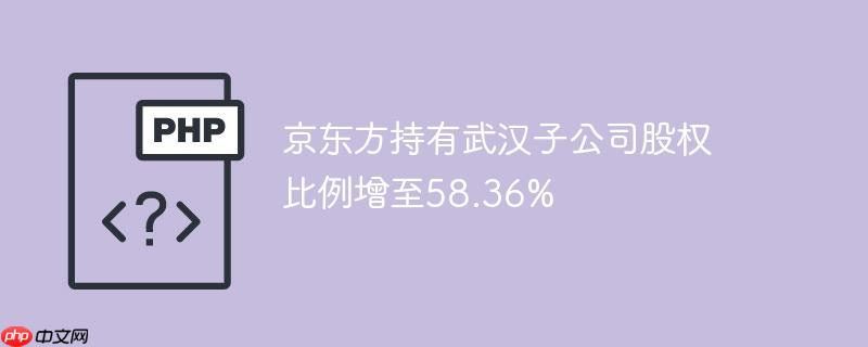 京东方持有武汉子公司股权比例增至58.36%