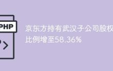 京东方持有武汉子公司股权比例增至58.36%