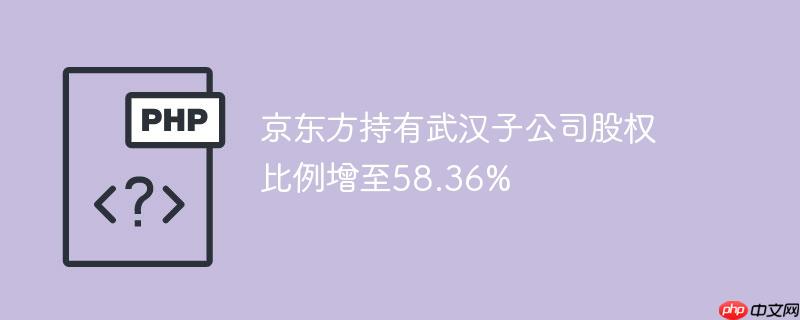 京东方持有武汉子公司股权比例增至58.36%