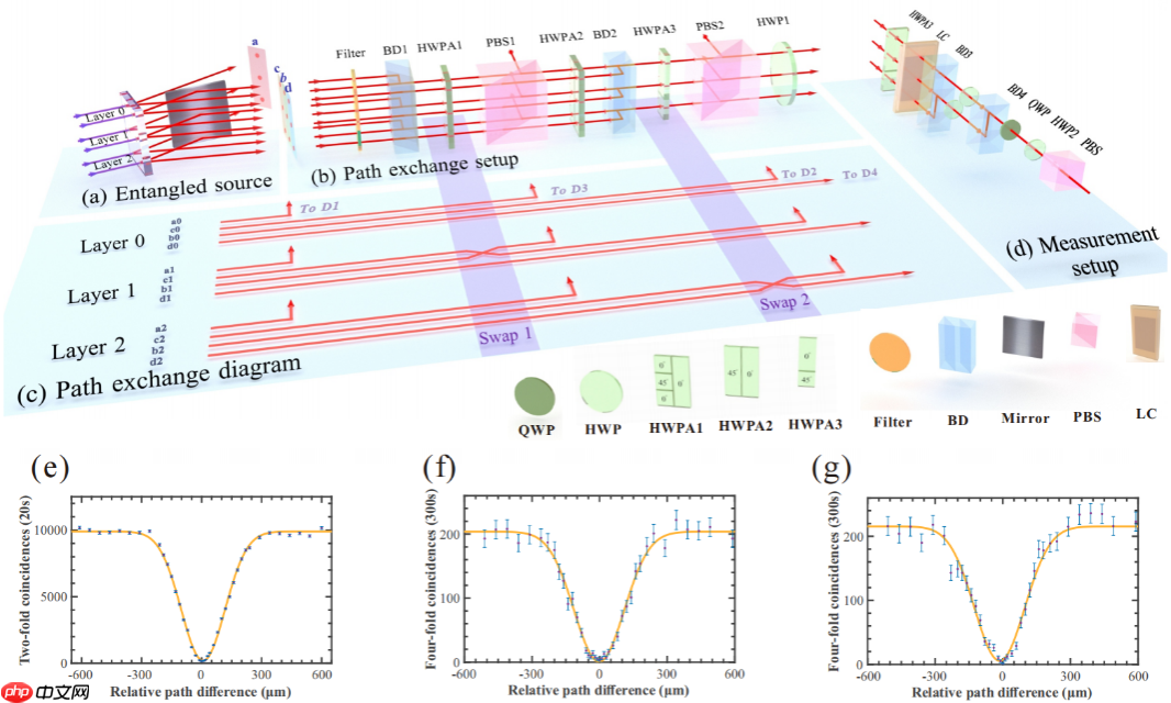 中国科大首次观察到真高维多体量子非局域性