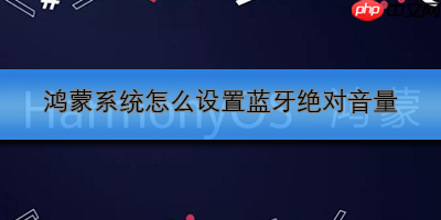 鸿蒙系统怎么设置蓝牙绝对音量