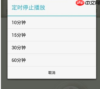 荔枝FM怎么用？