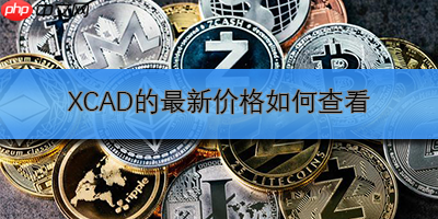 XCAD的最新价格如何查看