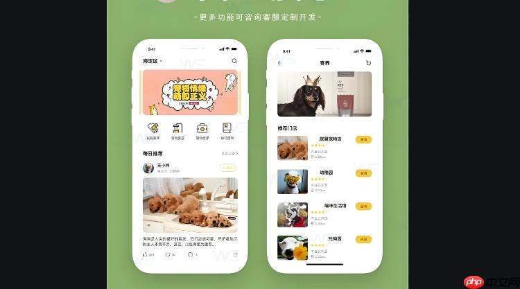 宠物寄养小程序开发:市场需求_核心功能与开发