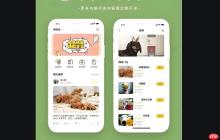 宠物寄养小程序开发:市场需求_核心功能与开发