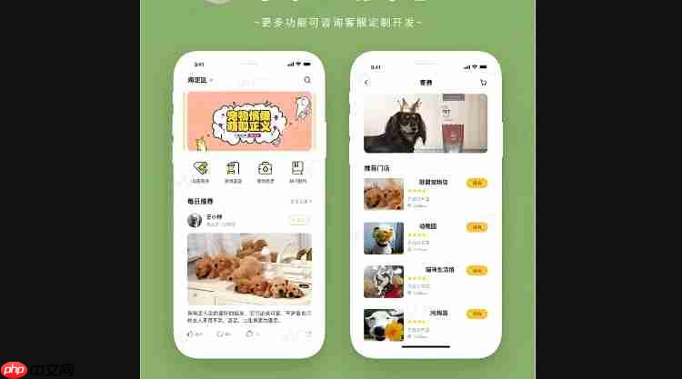 宠物寄养小程序开发:市场需求_核心功能与开发
