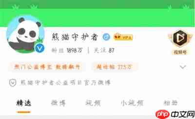 森林驿站8月11日答案分享