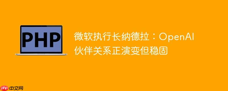 微软执行长纳德拉：OpenAI伙伴关系正演变但稳固