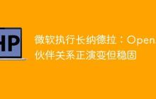 微软执行长纳德拉：OpenAI伙伴关系正演变但稳固