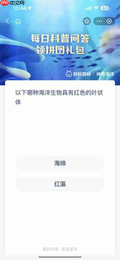 支付宝神奇海洋7.28日答案是什么