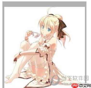 怎么用sai绘画软件为图片加上花纹 为图片加上花纹方法说明