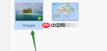2345看图王怎么为图片加上文字？为图片加上文字操作流程详解