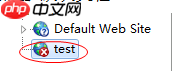 Windows7系统下ASP网站的发布