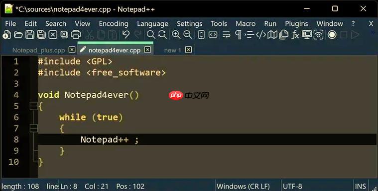 Notepad2与Notepad++的功能对比与适用场景