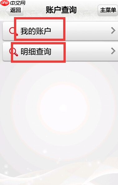 在中国邮政里如何查询余额？查询余额的操作步骤分享