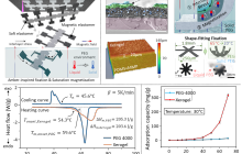 西安交大物理学院研究团队在微型软体机器人磁畴三维编程方面取得进展