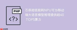 芯原超低能耗NPU可为移动端大语言模型推理提供超40 TOPS算力