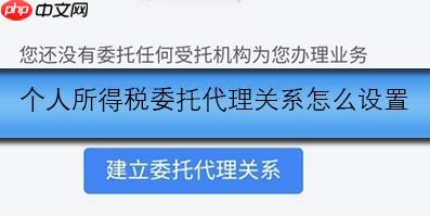 个人所得税委托代理关系怎么设置