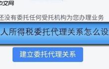 个人所得税委托代理关系怎么设置