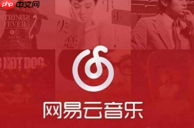 网易云音乐官方vip歌单如何看 官方vip歌单查看方法解析