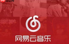 网易云音乐官方vip歌单如何看 官方vip歌单查看方法解析