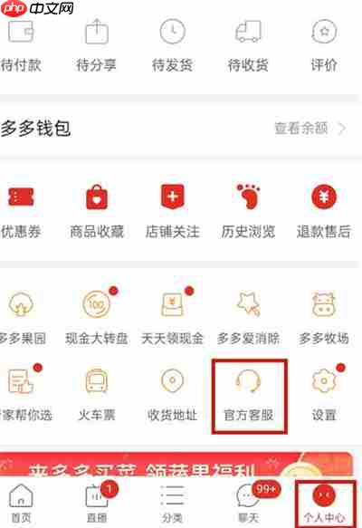 拼多多怎么让平台介入