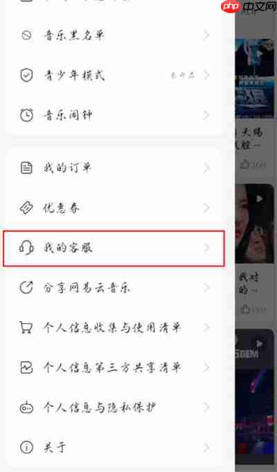网易云音乐怎么查看往年年度报告