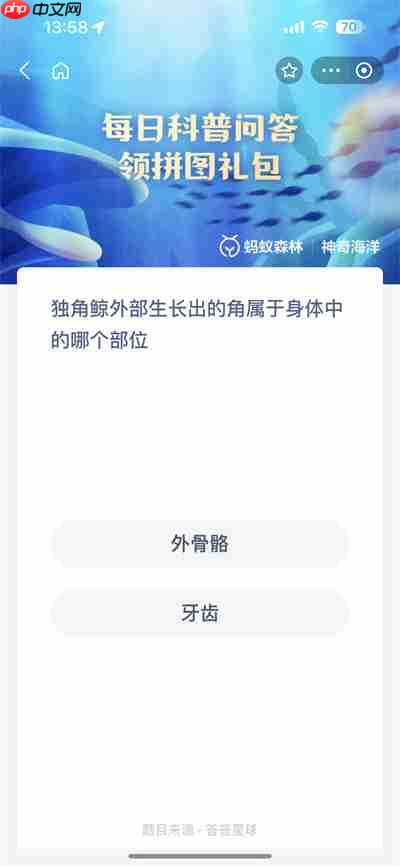 支付宝神奇海洋7.3日答案是什么