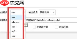 百度音乐怎么提取音频？百度音乐提取音频的操作过程一览