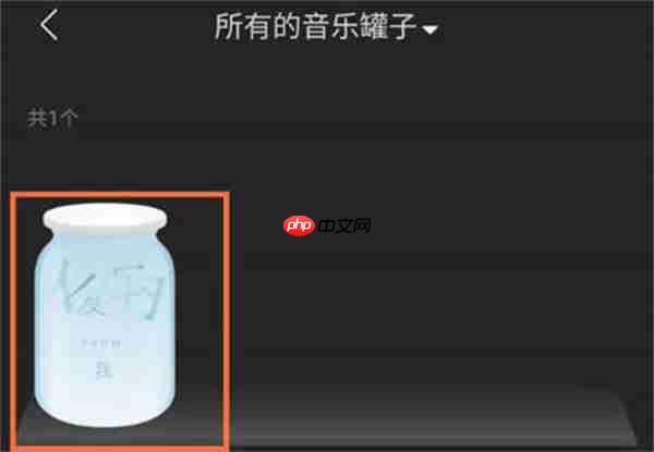网易云音乐怎么分享音乐罐子