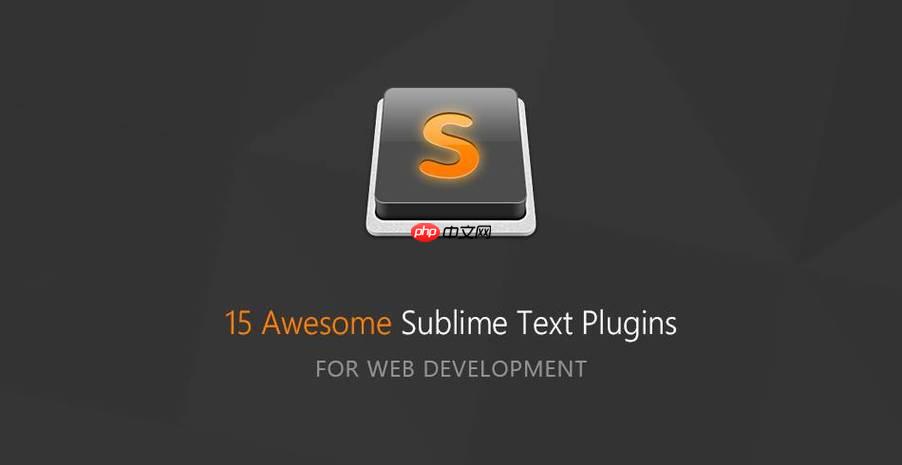优化SublimeText启动速度的设置技巧