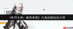 胜利女神妮姬白兔终极指南：777部队生存引擎，攻防一体战术核心！