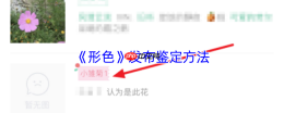 形色 APP 植物鉴定全攻略：3 分钟成为野生植物学家