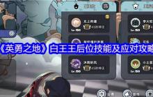 英勇之地白王副本王后位终极战术手册
