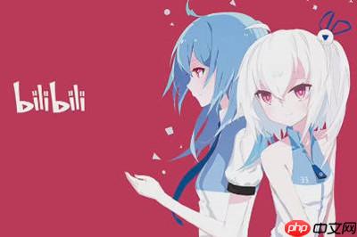 哔哩哔哩在哪里捐款