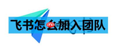 飞书怎么加入团队