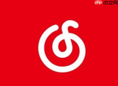 网易云音乐怎么在软件中显示歌词