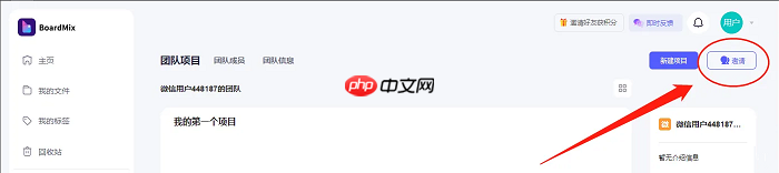 BoardMix怎么邀请成员?