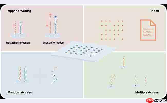 机械系生物制造团队合作构建基于喷墨打印的可多次读写“引物盘”DNA存储系统