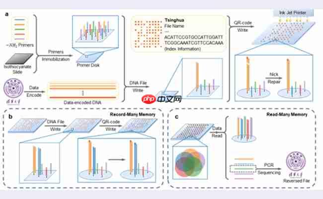 机械系生物制造团队合作构建基于喷墨打印的可多次读写“引物盘”DNA存储系统