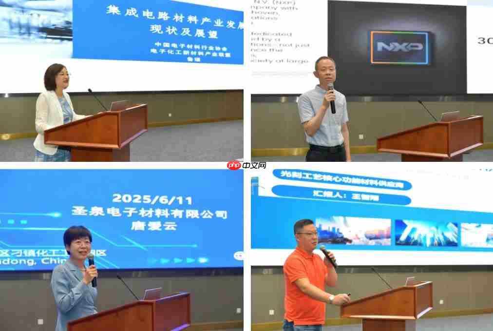 天津经开区举行集成电路产业链上游企业座谈会