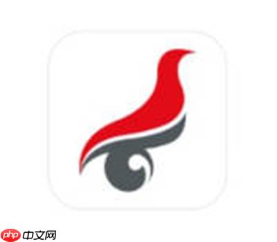 学信网编号在哪里查询