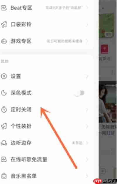 网易云音乐定时关闭功能在哪里